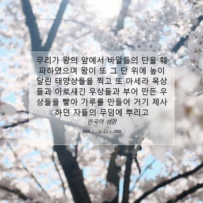 Picture 07 - 역대하 34:4 KOR - 무리가 왕의 앞에서 바알들의 단을 - Bible Verse Picture