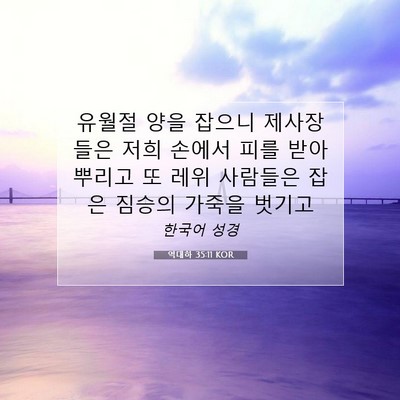 Picture 07 - 역대하 35:11 KOR - 유월절 양을 잡으니 제사장들은 저희 - Bible Verse Picture