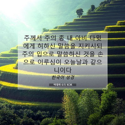 Picture 07 - 역대하 6:15 KOR - 주께서 주의 종 내 아비 다윗에게 - Bible Verse Picture