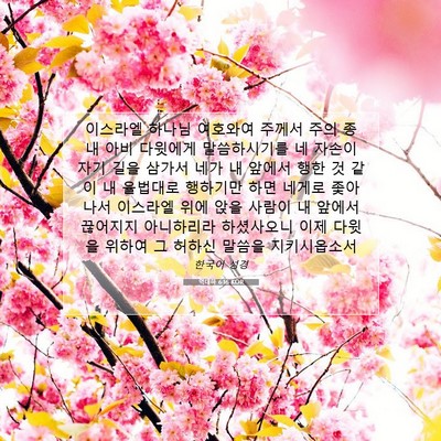 Picture 07 - 역대하 6:16 KOR - 이스라엘 하나님 여호와여 주께서 - Bible Verse Picture