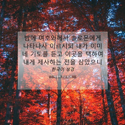 Picture 07 - 역대하 7:12 KOR - 밤에 여호와께서 솔로몬에게 - Bible Verse Picture