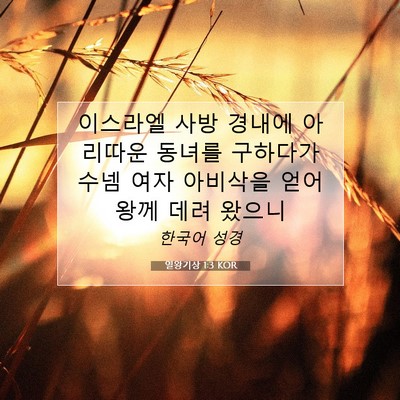 Picture 07 - 열왕기상 1:3 KOR - 이스라엘 사방 경내에 아리따운 - Bible Verse Picture