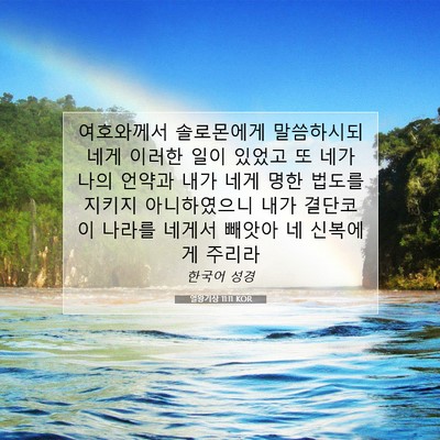 Picture 07 - 열왕기상 11:11 KOR - 여호와께서 솔로몬에게 말씀하시되 - Bible Verse Picture
