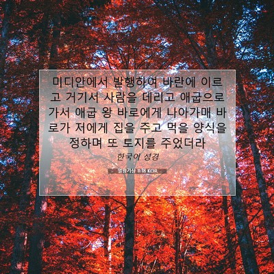 Picture 07 - 열왕기상 11:18 KOR - 미디안에서 발행하여 바란에 이르고 - Bible Verse Picture