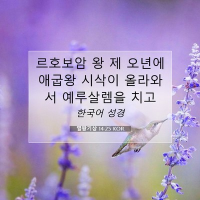 Picture 07 - 열왕기상 14:25 KOR - 르호보암 왕 제 오년에 애굽왕 - Bible Verse Picture