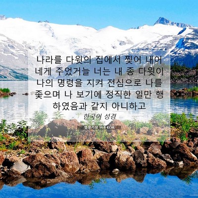 Picture 07 - 열왕기상 14:8 KOR - 나라를 다윗의 집에서 찢어 내어 - Bible Verse Picture