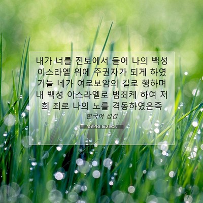 Picture 07 - 열왕기상 16:2 KOR - 내가 너를 진토에서 들어 나의 백성 - Bible Verse Picture