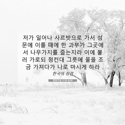 Picture 07 - 열왕기상 17:10 KOR - 저가 일어나 사르밧으로 가서 성문에 - Bible Verse Picture