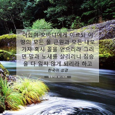 Picture 07 - 열왕기상 18:5 KOR - 아합이 오바댜에게 이르되 이 땅의 - Bible Verse Picture