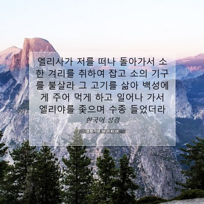 Picture 07 - 열왕기상 19:21 KOR - 엘리사가 저를 떠나 돌아가서 소 한 - Bible Verse Picture