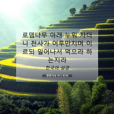 Picture 07 - 열왕기상 19:5 KOR - 로뎀나무 아래 누워 자더니 천사가 - Bible Verse Picture