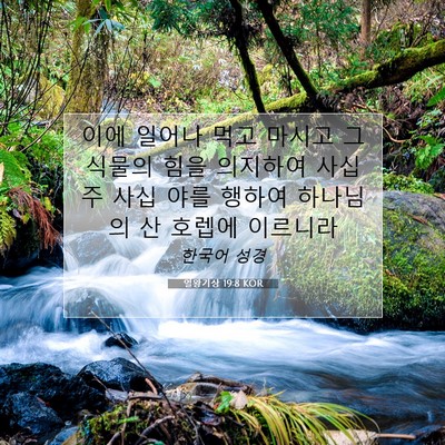 Picture 07 - 열왕기상 19:8 KOR - 이에 일어나 먹고 마시고 그 식물의 - Bible Verse Picture