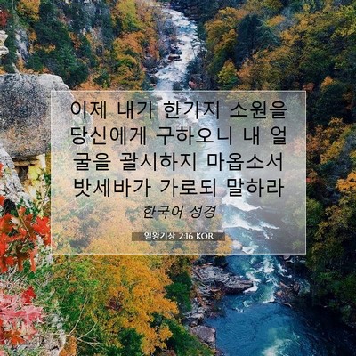 Picture 07 - 열왕기상 2:16 KOR - 이제 내가 한가지 소원을 당신에게 - Bible Verse Picture