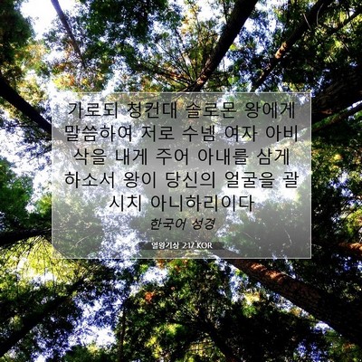 Picture 07 - 열왕기상 2:17 KOR - 가로되 청컨대 솔로몬 왕에게 - Bible Verse Picture