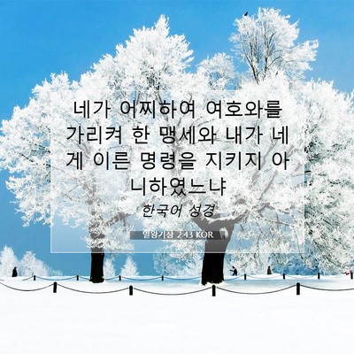 Picture 07 - 열왕기상 2:43 KOR - 네가 어찌하여 여호와를 가리켜 한 - Bible Verse Picture