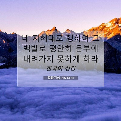 Picture 07 - 열왕기상 2:6 KOR - 네 지혜대로 행하여 그 백발로 - Bible Verse Picture