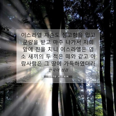 Picture 07 - 열왕기상 20:27 KOR - 이스라엘 자손도 점고함을 입고 - Bible Verse Picture
