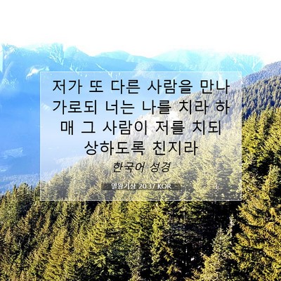 Picture 07 - 열왕기상 20:37 KOR - 저가 또 다른 사람을 만나 가로되 - Bible Verse Picture