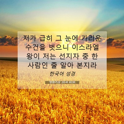 Picture 07 - 열왕기상 20:41 KOR - 저가 급히 그 눈에 가리운 수건을 - Bible Verse Picture
