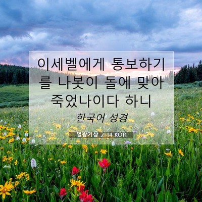 Picture 07 - 열왕기상 21:14 KOR - 이세벨에게 통보하기를 나봇이 돌에 - Bible Verse Picture