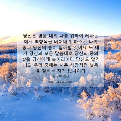 Picture 07 - 열왕기상 5:6 KOR - 당신은 영을 내려 나를 위하여 - Bible Verse Picture
