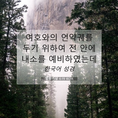 Picture 07 - 열왕기상 6:19 KOR - 여호와의 언약궤를 두기 위하여 전 - Bible Verse Picture