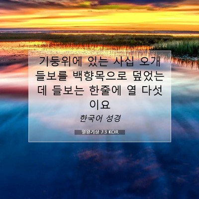 Picture 07 - 열왕기상 7:3 KOR - 기둥위에 있는 사십 오개 들보를 - Bible Verse Picture