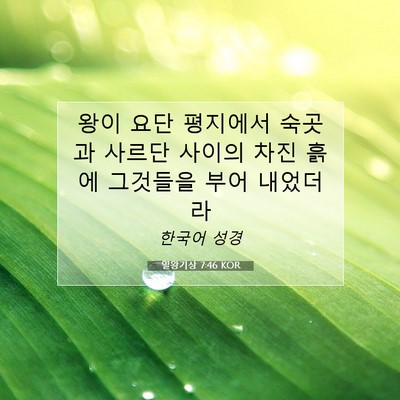 Picture 07 - 열왕기상 7:46 KOR - 왕이 요단 평지에서 숙곳과 사르단 - Bible Verse Picture