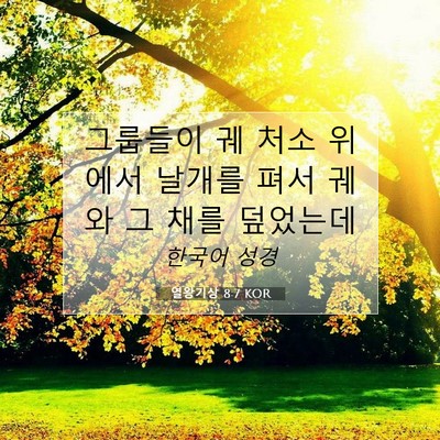 Picture 07 - 열왕기상 8:7 KOR - 그룹들이 궤 처소 위에서 날개를 - Bible Verse Picture