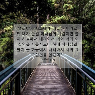 Picture 07 - 열왕기하 1:12 KOR - 엘리야가 저희에게 대답하여 가로되 - Bible Verse Picture