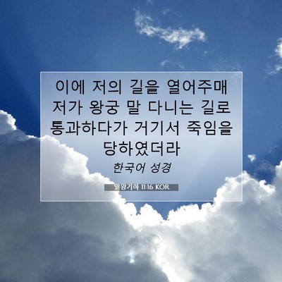 Picture 07 - 열왕기하 11:16 KOR - 이에 저의 길을 열어주매 저가 왕궁 - Bible Verse Picture