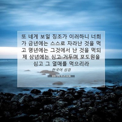 Picture 07 - 열왕기하 19:29 KOR - 또 네게 보일 징조가 이러하니 - Bible Verse Picture