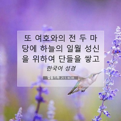 Picture 07 - 열왕기하 21:5 KOR - 또 여호와의 전 두 마당에 하늘의 - Bible Verse Picture