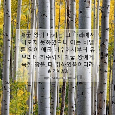 Picture 07 - 열왕기하 24:7 KOR - 애굽 왕이 다시는 그 나라에서 - Bible Verse Picture