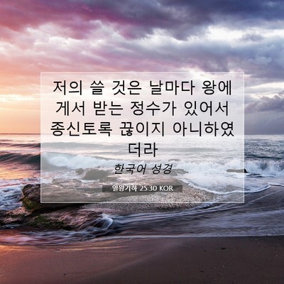 Picture 07 - 열왕기하 25:30 KOR - 저의 쓸 것은 날마다 왕에게서 받는 - Bible Verse Picture