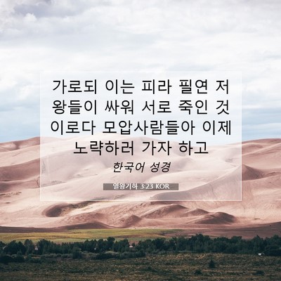 Picture 07 - 열왕기하 3:23 KOR - 가로되 이는 피라 필연 저 왕들이 - Bible Verse Picture