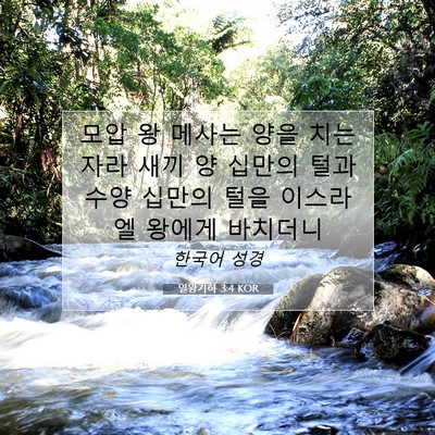 Picture 07 - 열왕기하 3:4 KOR - 모압 왕 메사는 양을 치는 자라 새끼 - Bible Verse Picture