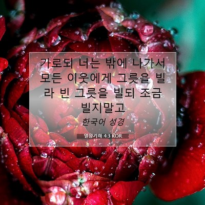 Picture 07 - 열왕기하 4:3 KOR - 가로되 너는 밖에 나가서 모든 - Bible Verse Picture
