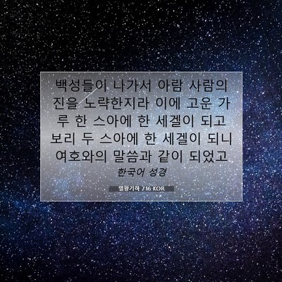 Picture 07 - 열왕기하 7:16 KOR - 백성들이 나가서 아람 사람의 진을 - Bible Verse Picture