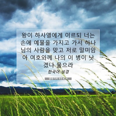 Picture 07 - 열왕기하 8:8 KOR - 왕이 하사엘에게 이르되 너는 손에 - Bible Verse Picture