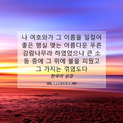 Picture 07 - 예레미야 11:16 KOR - 나 여호와가 그 이름을 일컬어 좋은 - Bible Verse Picture