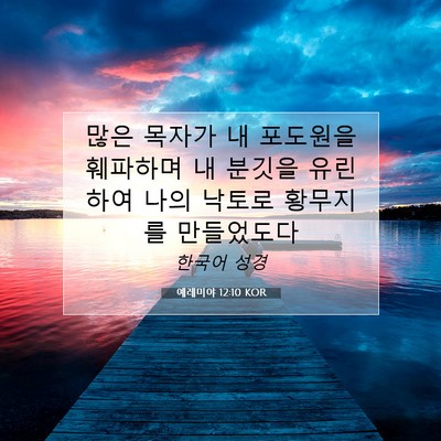 Picture 07 - 예레미야 12:10 KOR - 많은 목자가 내 포도원을 훼파하며 - Bible Verse Picture