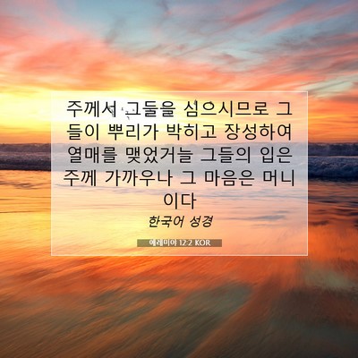 Picture 07 - 예레미야 12:2 KOR - 주께서 그들을 심으시므로 그들이 - Bible Verse Picture