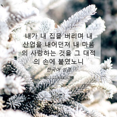 Picture 07 - 예레미야 12:7 KOR - 내가 내 집을 버리며 내 산업을 - Bible Verse Picture