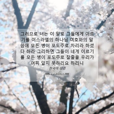 Picture 07 - 예레미야 13:12 KOR - 그러므로 너는 이 말로 그들에게 - Bible Verse Picture