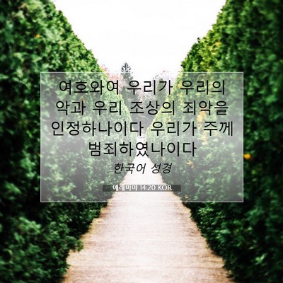 Picture 07 - 예레미야 14:20 KOR - 여호와여 우리가 우리의 악과 우리 - Bible Verse Picture