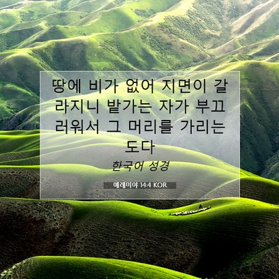 Picture 07 - 예레미야 14:4 KOR - 땅에 비가 없어 지면이 갈라지니 - Bible Verse Picture