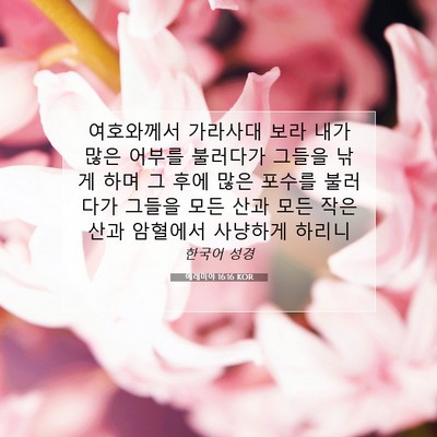 Picture 07 - 예레미야 16:16 KOR - 여호와께서 가라사대 보라 내가 많은 - Bible Verse Picture