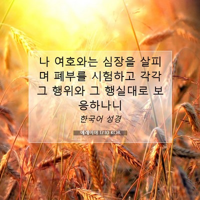 Picture 07 - 예레미야 17:10 KOR - 나 여호와는 심장을 살피며 폐부를 - Bible Verse Picture