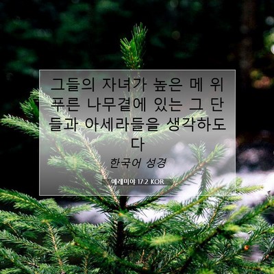 Picture 07 - 예레미야 17:2 KOR - 그들의 자녀가 높은 메 위 푸른 - Bible Verse Picture